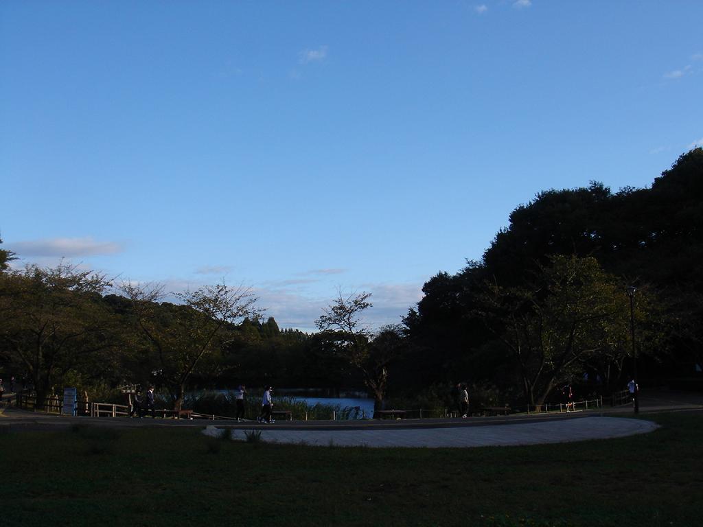 ファイル 1106-1.jpg