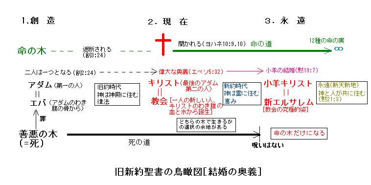 ファイル 1306-1.jpg