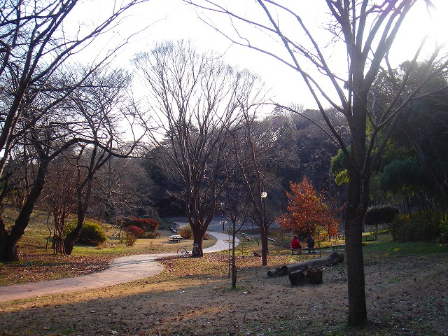 ファイル 1702-2.jpg