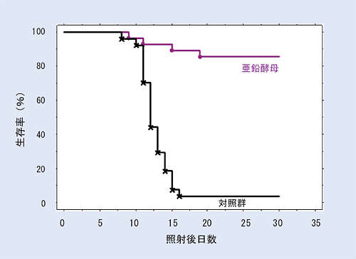 ファイル 1945-1.jpg