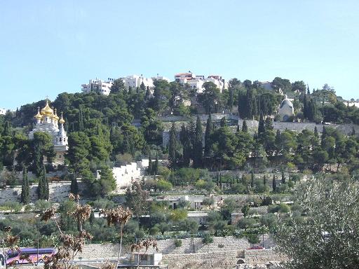 ファイル 2061-1.jpg