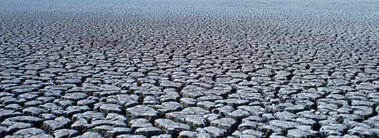 ファイル 2075-1.jpg