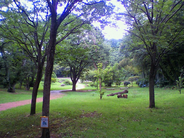 ファイル 2301-1.jpg