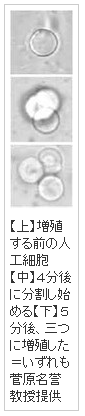 ファイル 2416-1.png