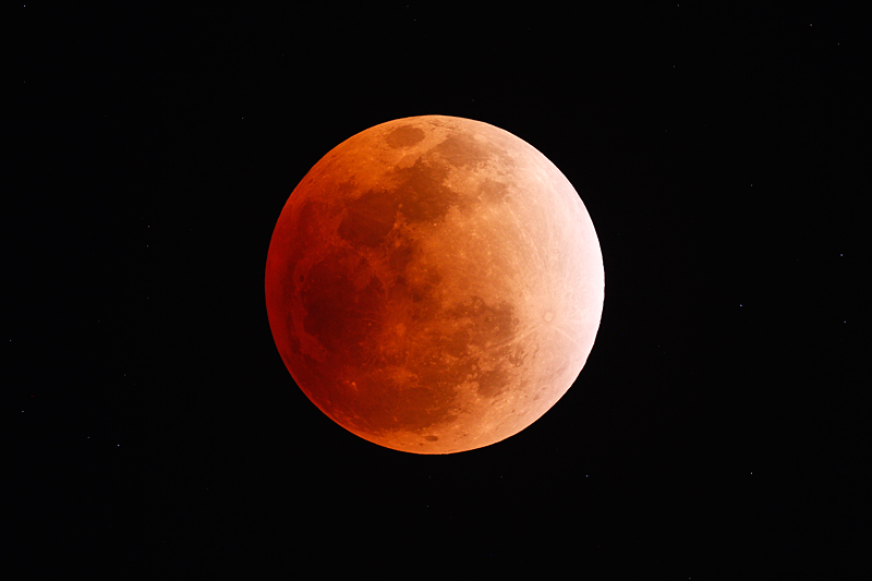 ファイル 2627-1.jpg