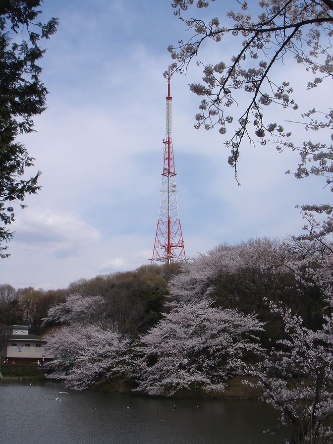 ファイル 285-4.jpg