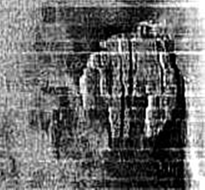 ファイル 3031-2.jpg