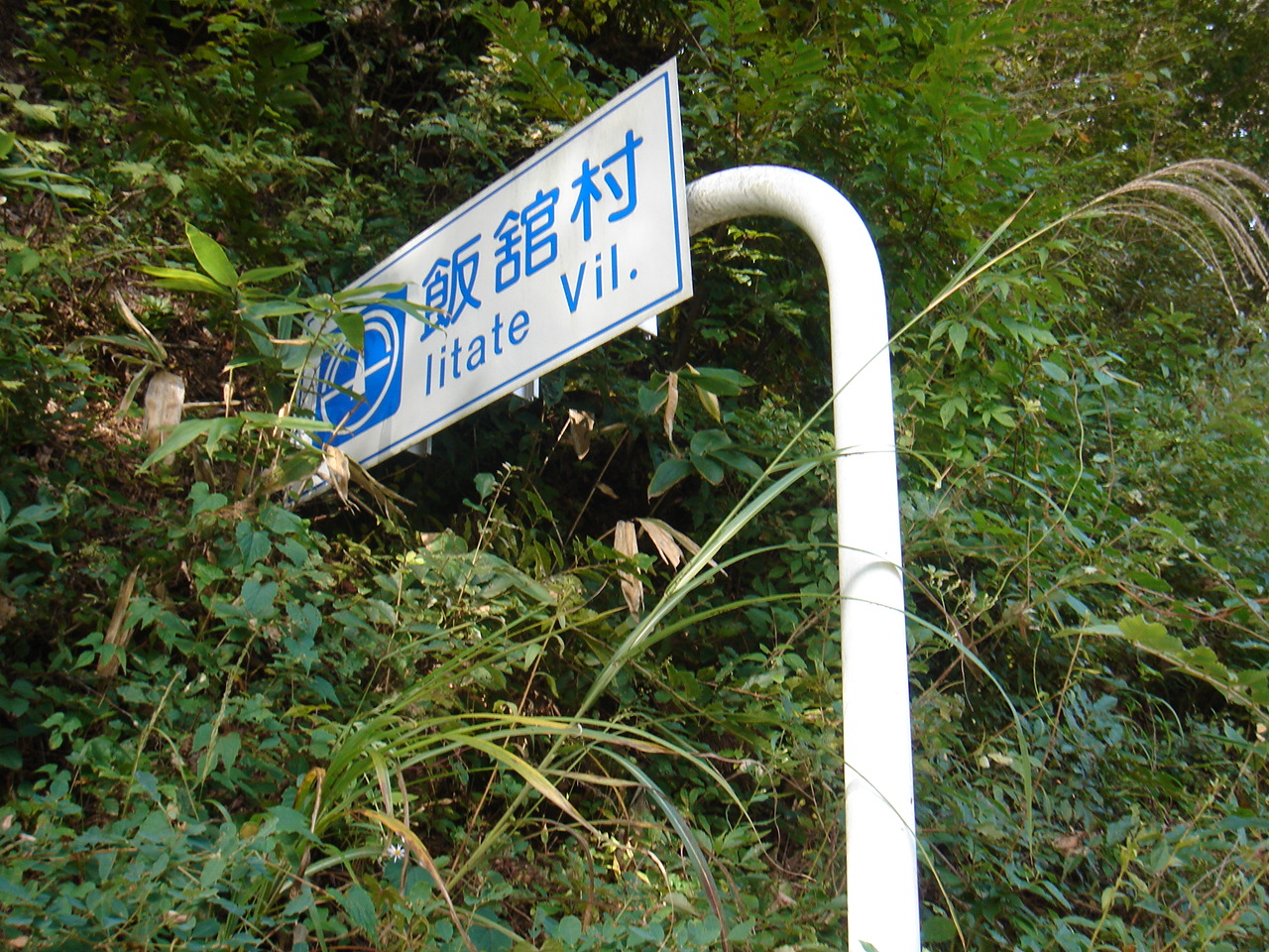 ファイル 3161-1.jpg