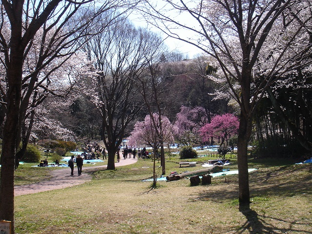 ファイル 3493-1.jpg