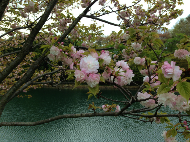 ファイル 3517-2.jpg