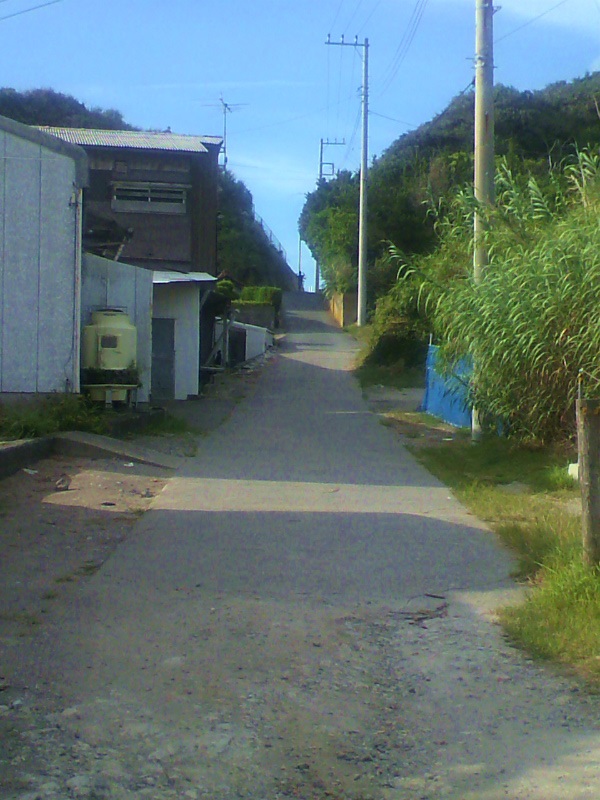 ファイル 3761-4.jpg