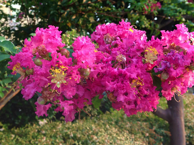 ファイル 3795-2.jpg