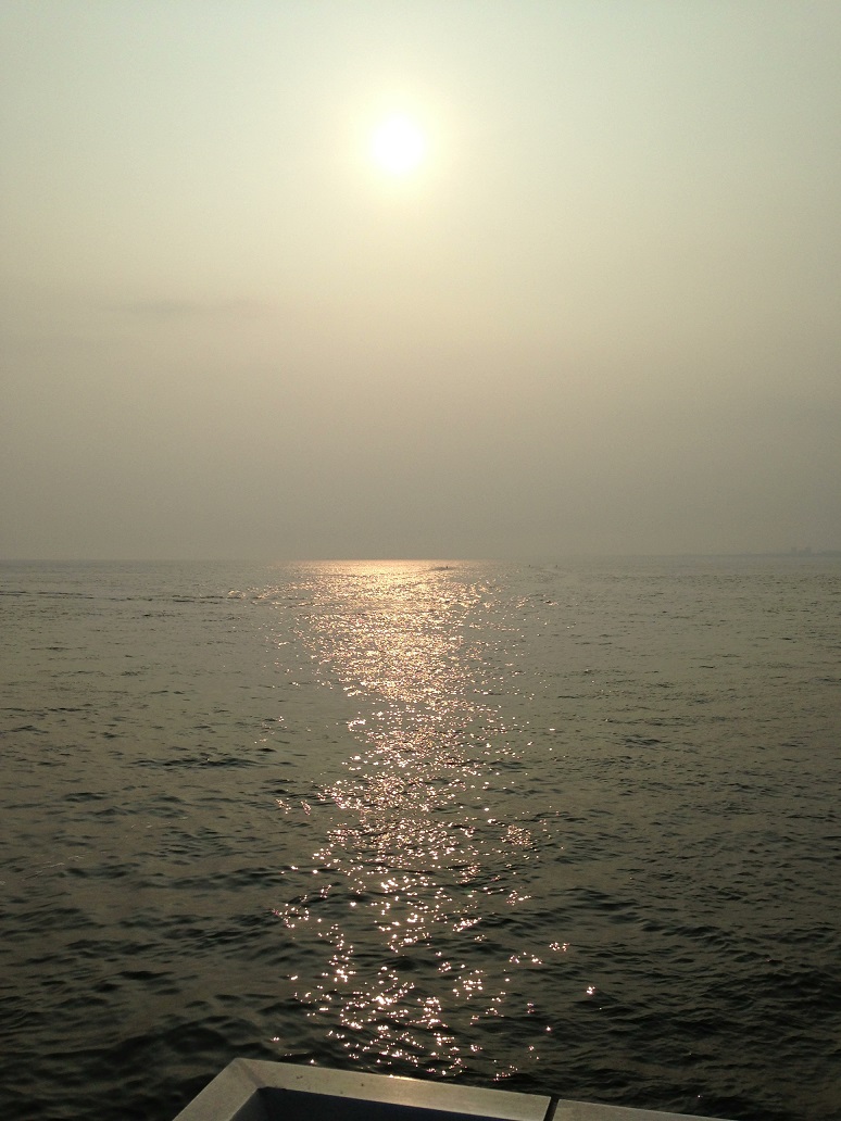 ファイル 3798-3.jpg