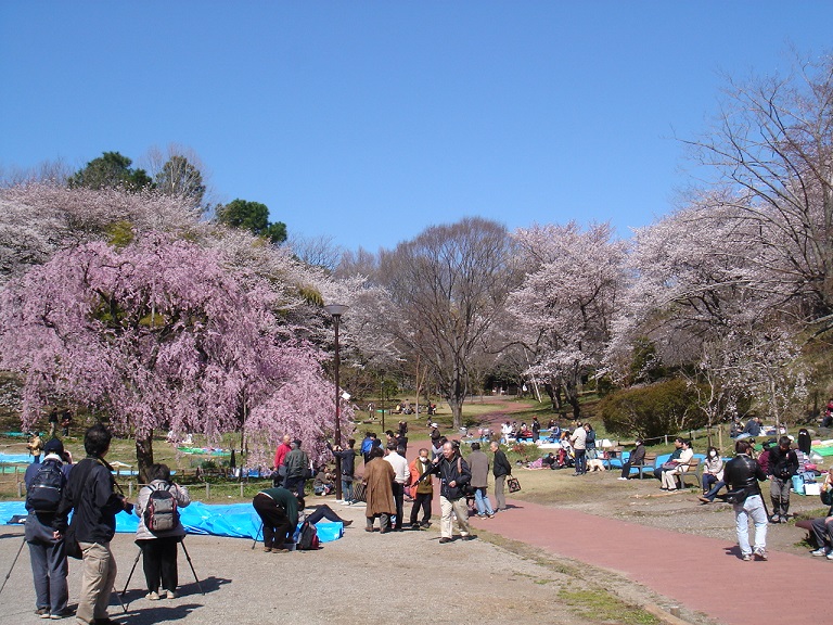 ファイル 4222-1.jpg