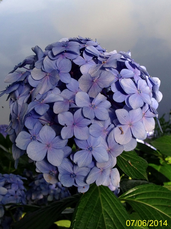 ファイル 4356-3.jpg