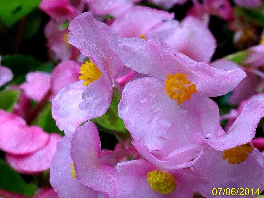 ファイル 4356-5.jpg