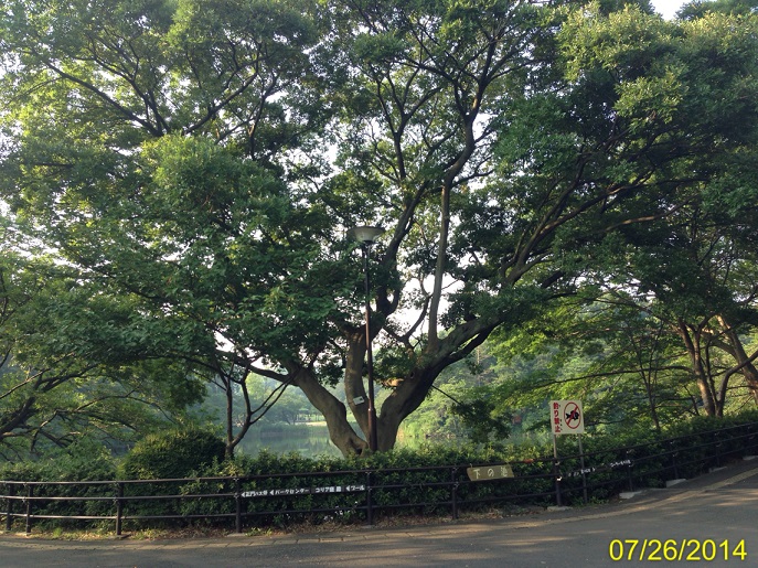 ファイル 4385-2.jpg