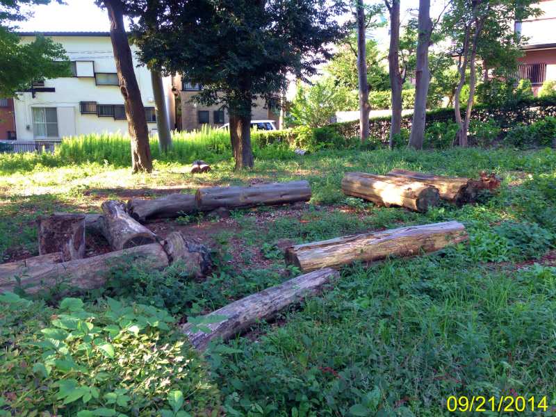 ファイル 4472-4.jpg