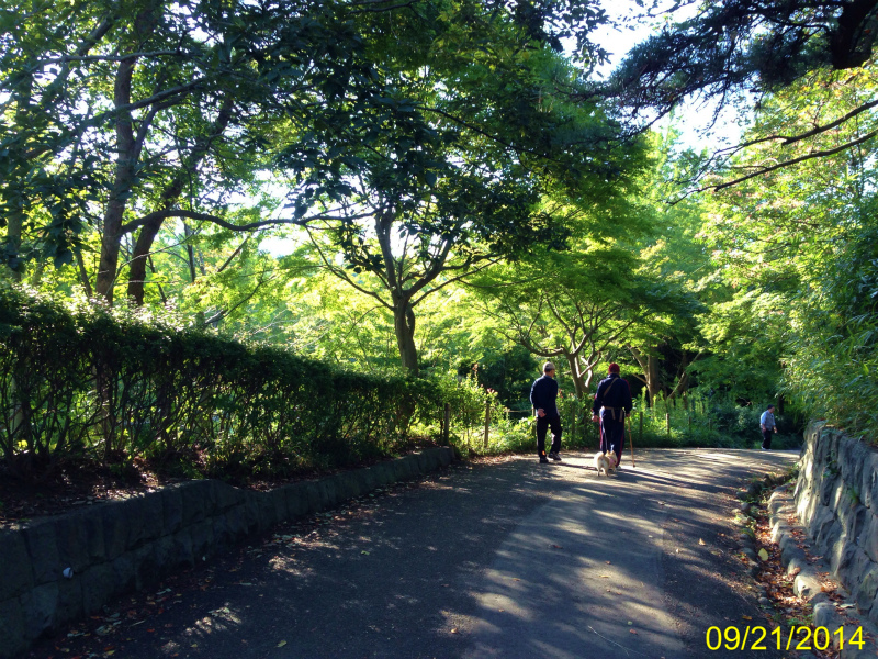 ファイル 4472-5.jpg