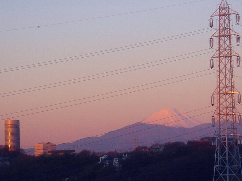 ファイル 4534-1.jpg