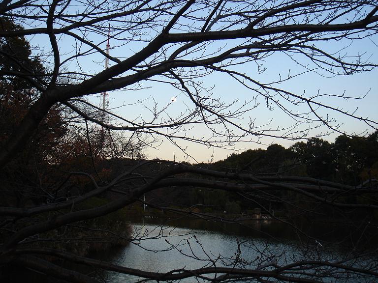 ファイル 70-5.jpg