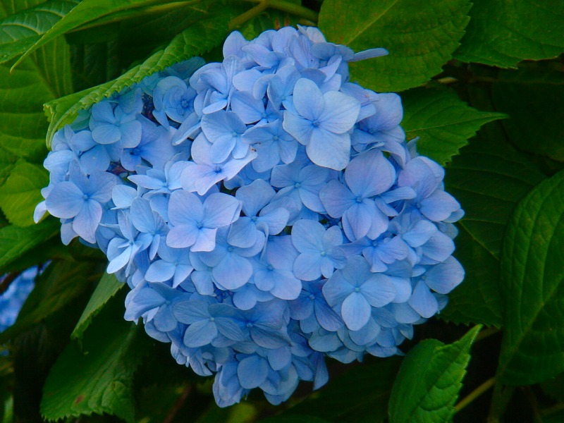 ファイル 899-1.jpg