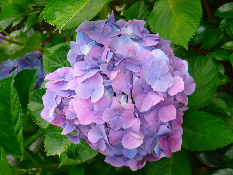 ファイル 899-2.jpg
