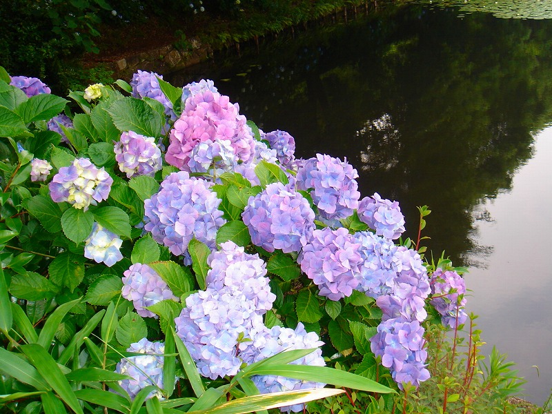 ファイル 899-3.jpg
