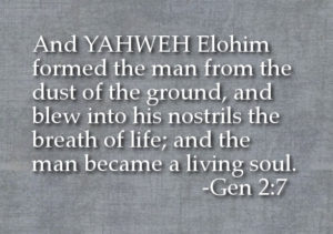 御名の重要性-YHWH ELOHIM