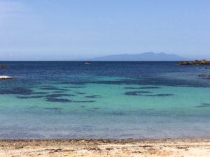 2017 Spring Izu