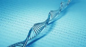 神の霊的遺伝子工学―神の種(DNA)のインヒュージョン―