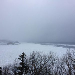 北海道流氷ツアーに行ってきました