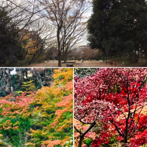 TODAY’S PHOTO
