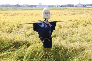 ストローマンの手法は違反である