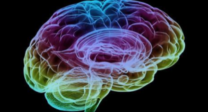 大脳辺縁系と会話する-マイクロサインを見抜け-