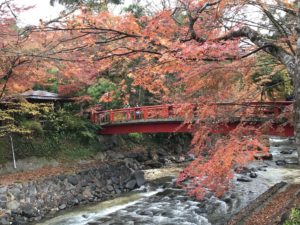 2019紅葉＠修善寺
