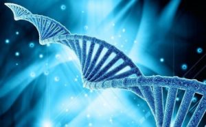 mRNAワクチンのリスク-ヒト･コロナ･ハイブリッドDNAの生成の可能性