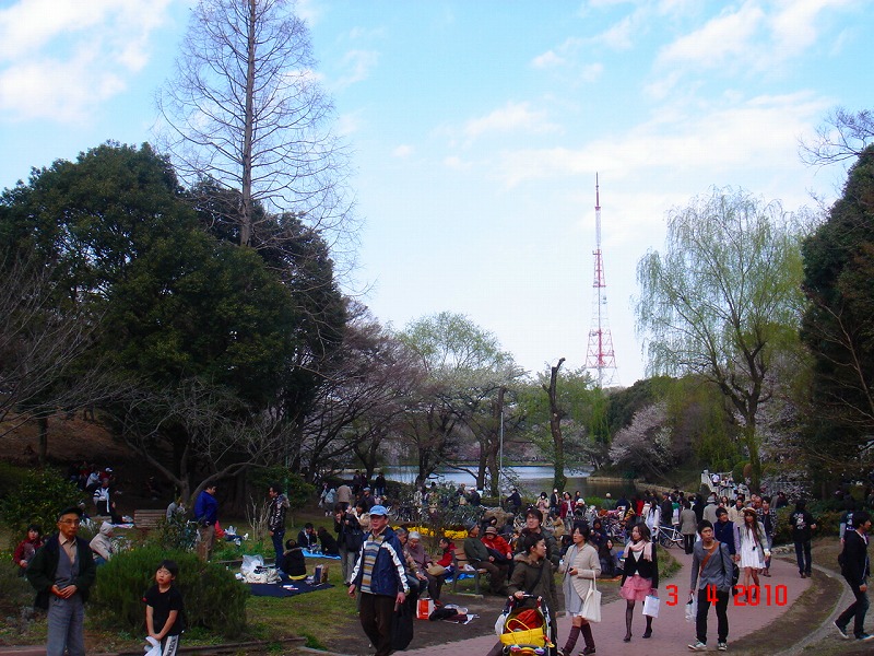 ファイル 1300-1.jpg