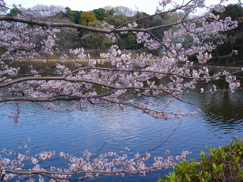 ファイル 1300-2.jpg