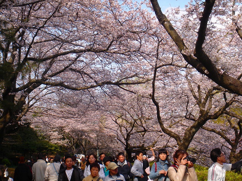 ファイル 1300-3.jpg