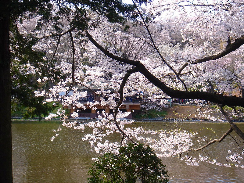 ファイル 1300-4.jpg