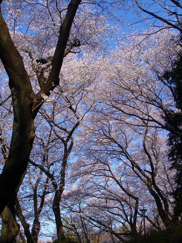 ファイル 1300-5.jpg