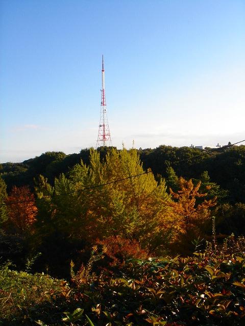 ファイル 1581-4.jpg