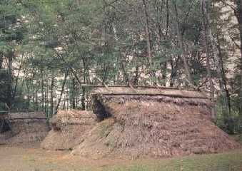 ファイル 1768-2.jpg
