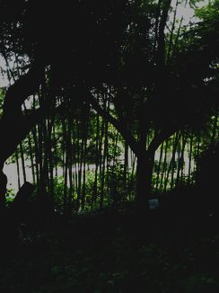ファイル 3730-1.jpg