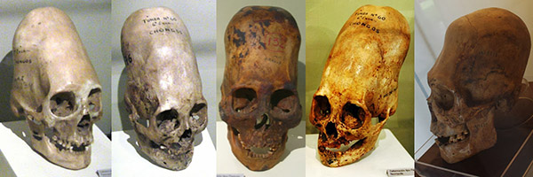ファイル 4145-2.jpg