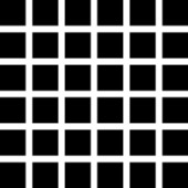 ファイル 4743-2.jpeg