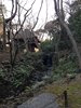 IMG_0116