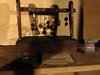 IMG_0130