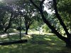 IMG_1522
